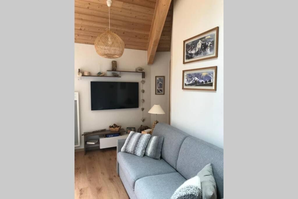 Magnifique Appartement A La Joue Du Loup Saint-Étienne-en-Dévoluy Zewnętrze zdjęcie