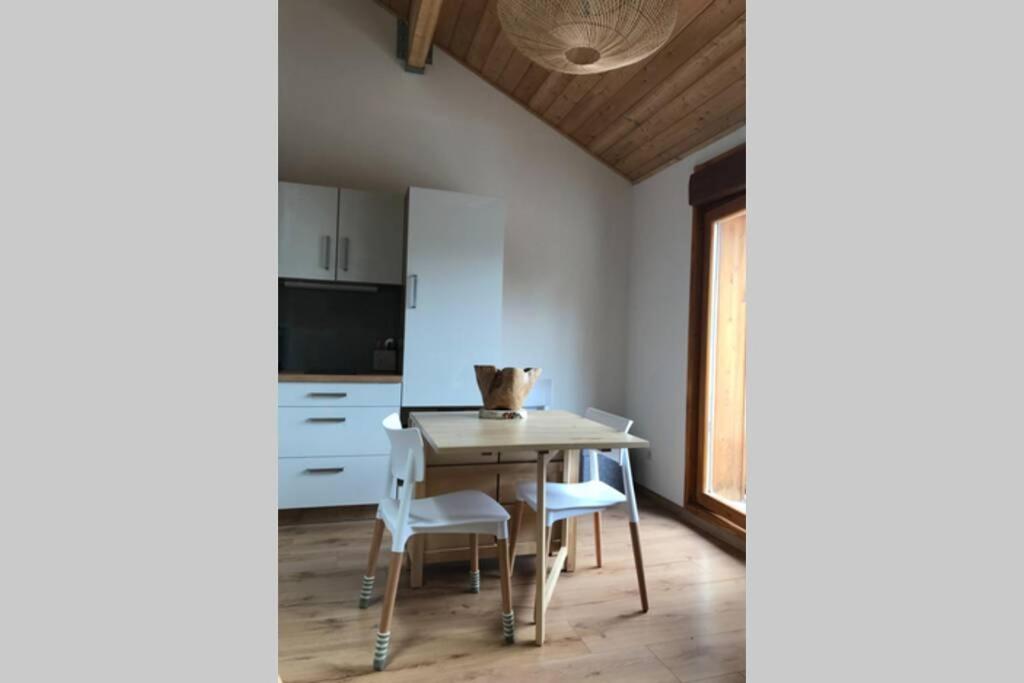 Magnifique Appartement A La Joue Du Loup Saint-Étienne-en-Dévoluy Zewnętrze zdjęcie
